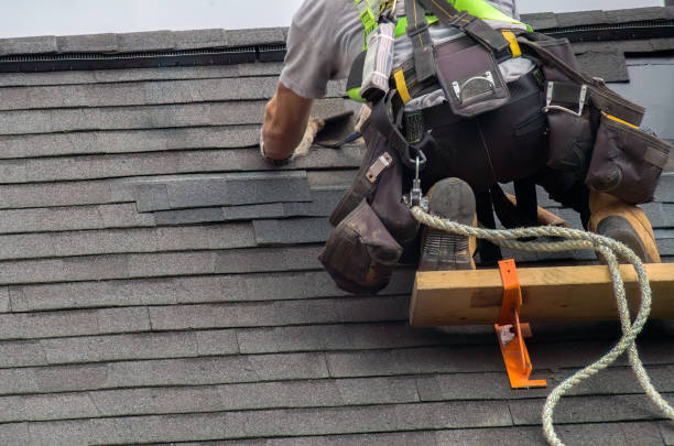 Roof Gutter Cleaning in Woodbury, MN